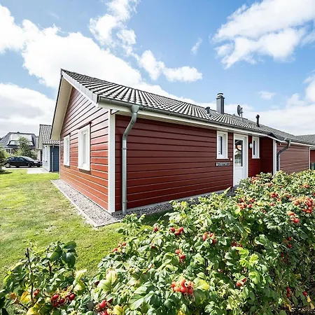 Σπίτι διακοπών Pharisaer 18 - Nordsee-ferienhaus Mit Sauna & Kamin Dagebüll